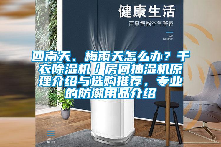 回南天、梅雨天怎么辦?干衣除濕機/房間抽濕機原理介紹與選購推薦,專業(yè)的防潮用品介紹