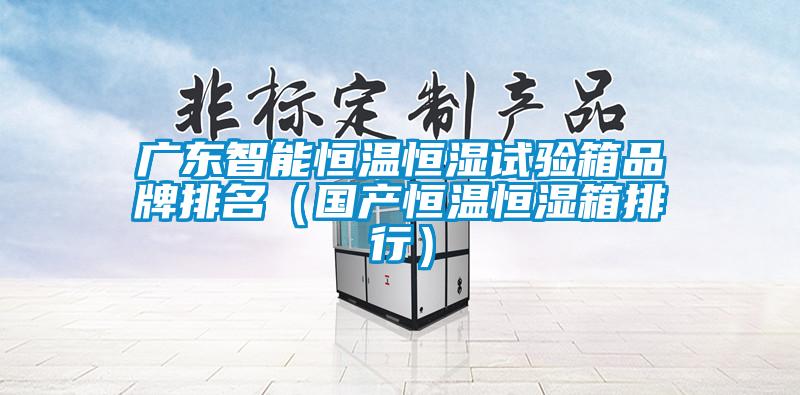 廣東智能恒溫恒濕試驗箱品牌排名（國產恒溫恒濕箱排行）
