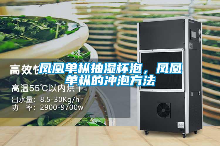 鳳凰單樅抽濕杯泡,鳳凰單樅的沖泡方法