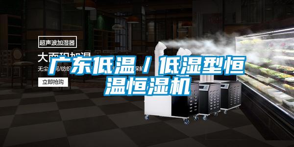 廣東低溫/低濕型恒溫恒濕機