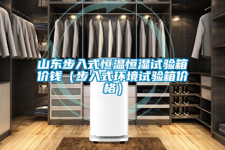 山東步入式恒溫恒濕試驗箱價錢(步入式環(huán)境試驗箱價格)