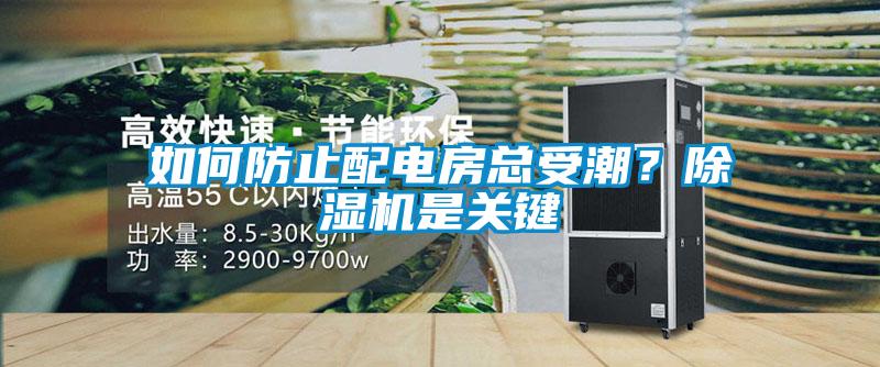 如何防止配電房總受潮？除濕機是關鍵
