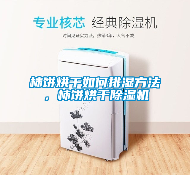 柿餅烘干如何排濕方法,柿餅烘干除濕機(jī)