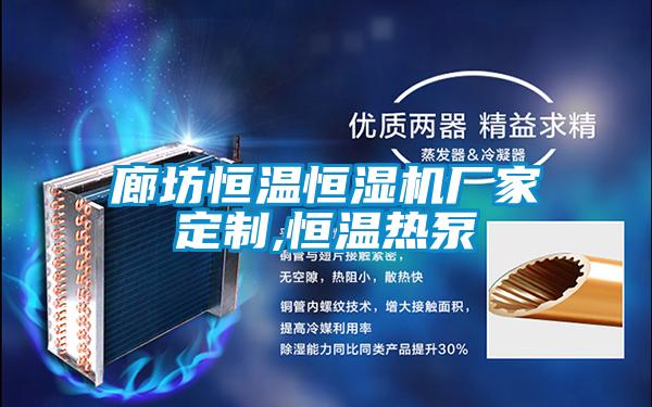 廊坊恒溫恒濕機(jī)廠(chǎng)家定制,恒溫?zé)岜?/></p>
						    <p style=