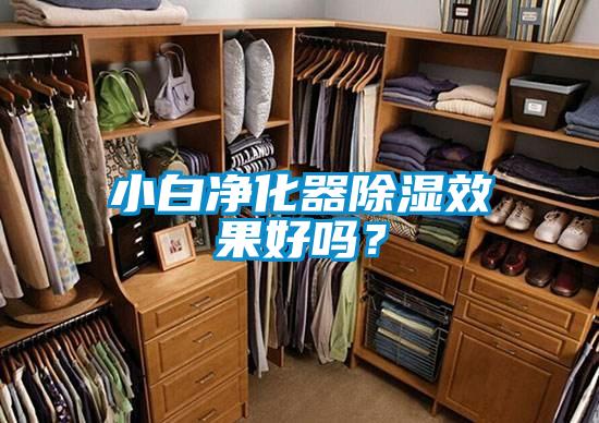 小白凈化器除濕效果好嗎?