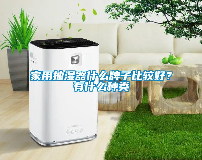 家用抽濕器什么牌子比較好?有什么種類
