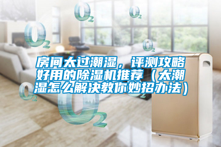房間太過潮濕,評測攻略好用的除濕機推薦(太潮濕怎么解決教你妙招辦法)