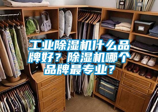 工業(yè)除濕機什么品牌好?除濕機哪個品牌最專業(yè)?