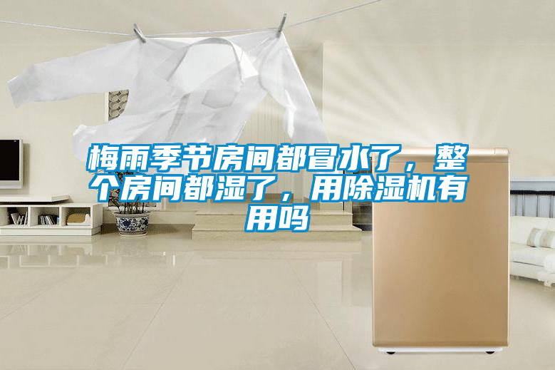 梅雨季節(jié)房間都冒水了，整個房間都濕了，用除濕機(jī)有用嗎