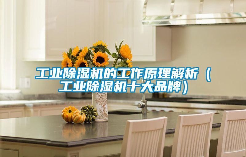 工業(yè)除濕機(jī)的工作原理解析(工業(yè)除濕機(jī)十大品牌)
