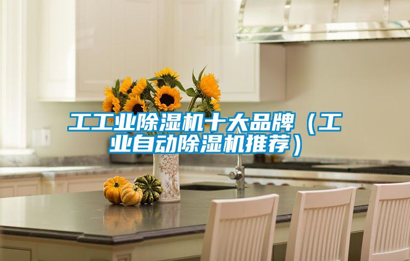 工工業(yè)除濕機(jī)十大品牌(工業(yè)自動(dòng)除濕機(jī)推薦)