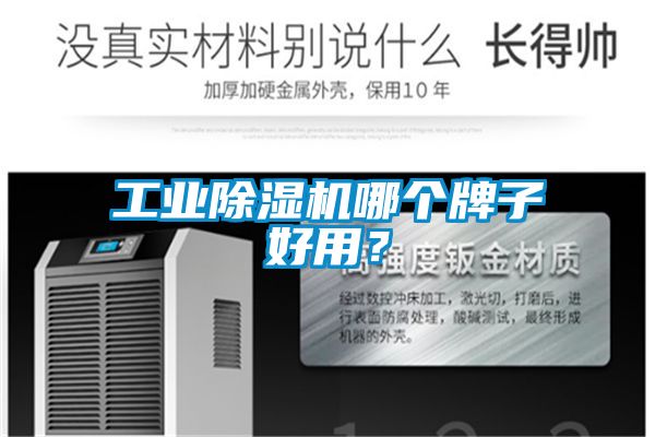 工業除濕機哪個牌子好用?