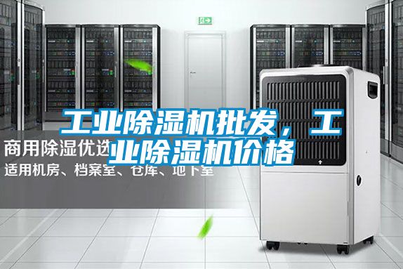 工業(yè)除濕機批發(fā),工業(yè)除濕機價格
