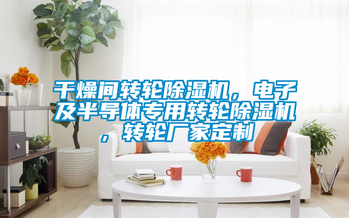 干燥間轉(zhuǎn)輪除濕機(jī)，電子及半導(dǎo)體專用轉(zhuǎn)輪除濕機(jī)，轉(zhuǎn)輪廠家定制