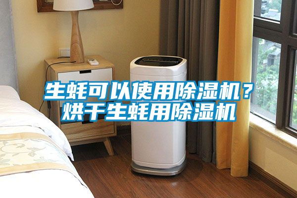 生蠔可以使用除濕機?烘干生蠔用除濕機