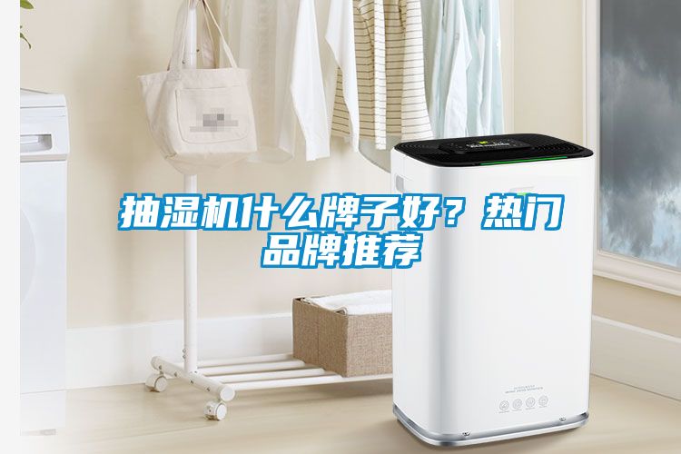 抽濕機什么牌子好?熱門品牌推薦