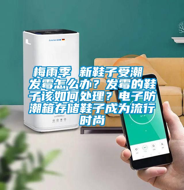 梅雨季 新鞋子受潮 發霉怎么辦?發霉的鞋子該如何處理?電子防潮箱存儲鞋子成為流行時尚