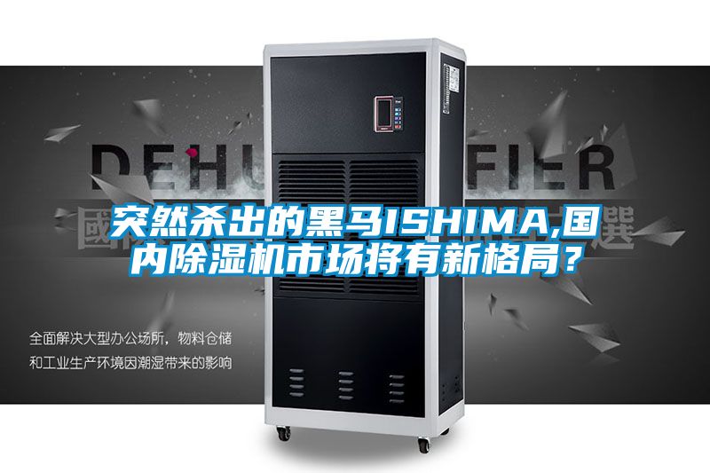 突然殺出的黑馬ISHIMA,國內除濕機市場將有新格局？