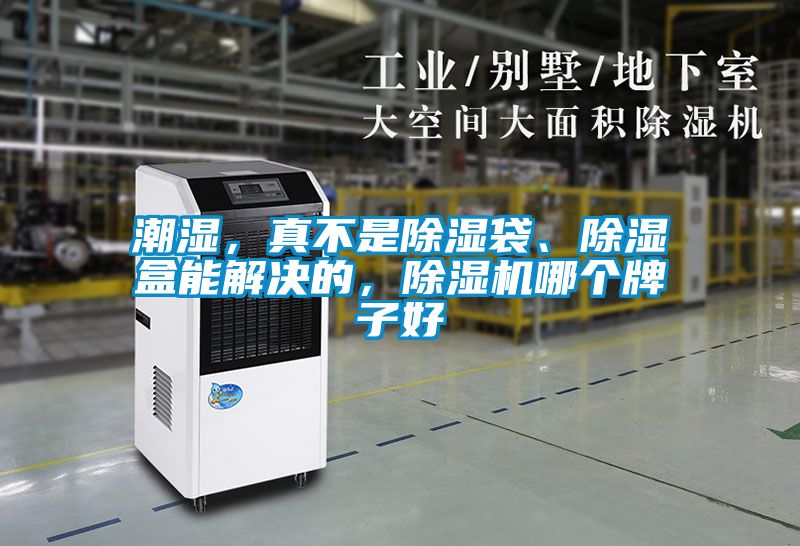 潮濕,真不是除濕袋、除濕盒能解決的,除濕機(jī)哪個(gè)牌子好