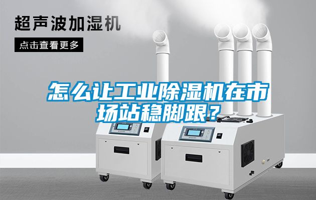 怎么讓工業除濕機在市場站穩腳跟?