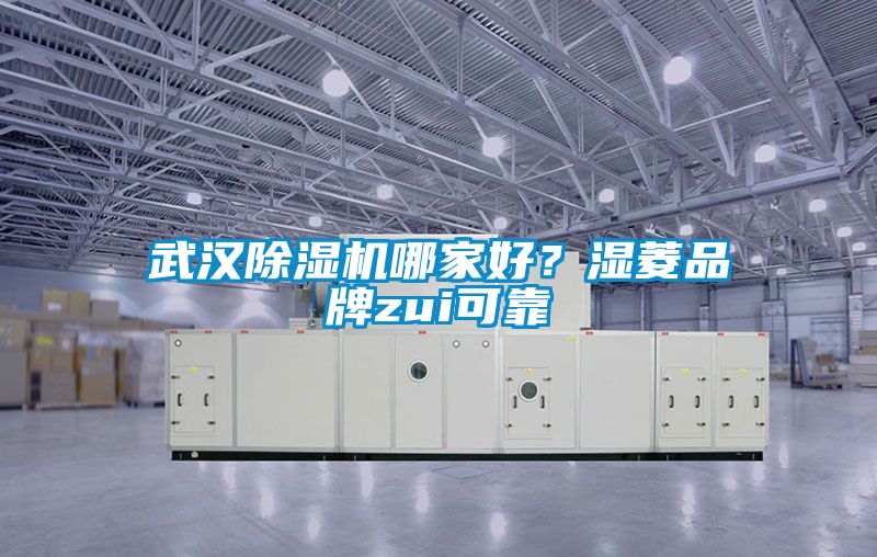 武漢除濕機(jī)哪家好？濕菱品牌zui可靠