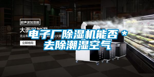電子廠除濕機(jī)能否*去除潮濕空氣