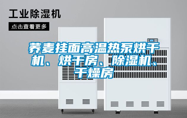 蕎麥掛面高溫熱泵烘干機、烘干房、除濕機、干燥房