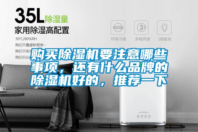 購買除濕機要注意哪些事項,還有什么品牌的除濕機好的,推薦一下
