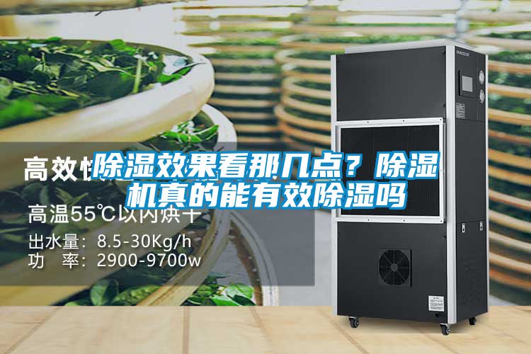 除濕效果看那幾點？除濕機真的能有效除濕嗎