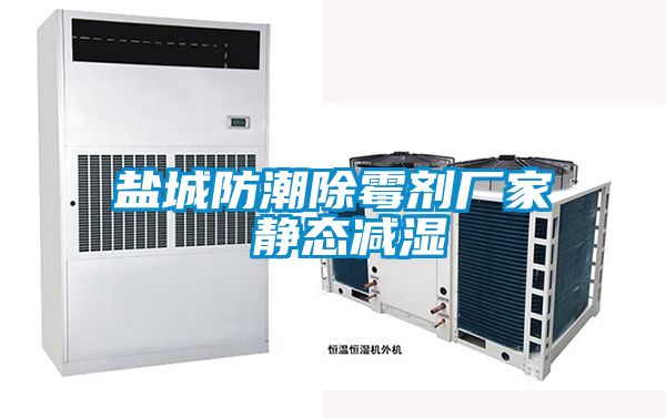 鹽城防潮除霉劑廠(chǎng)家 靜態(tài)減濕
