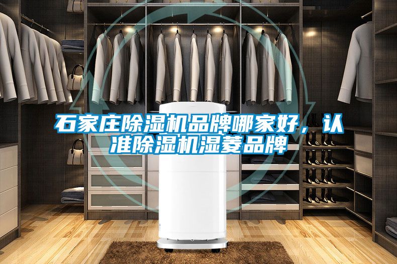 石家莊除濕機品牌哪家好，認準除濕機濕菱品牌