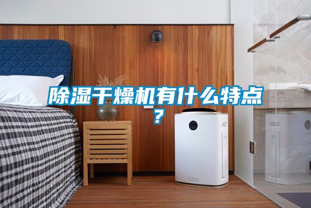 除濕干燥機有什么特點？