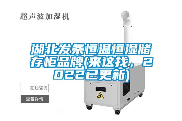 湖北發條恒溫恒濕儲存柜品牌(來這找，2022已更新)