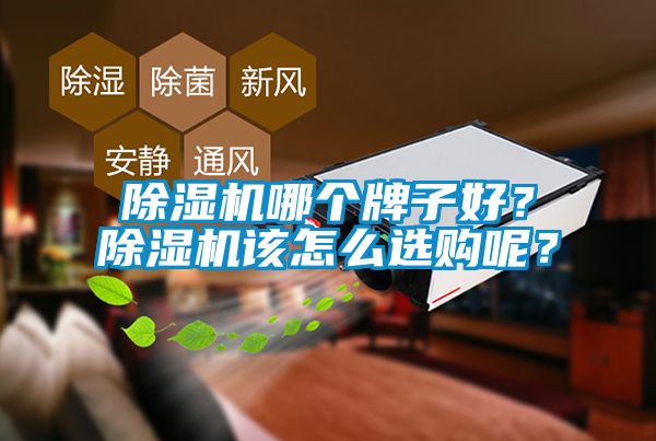 除濕機哪個牌子好?除濕機該怎么選購呢?