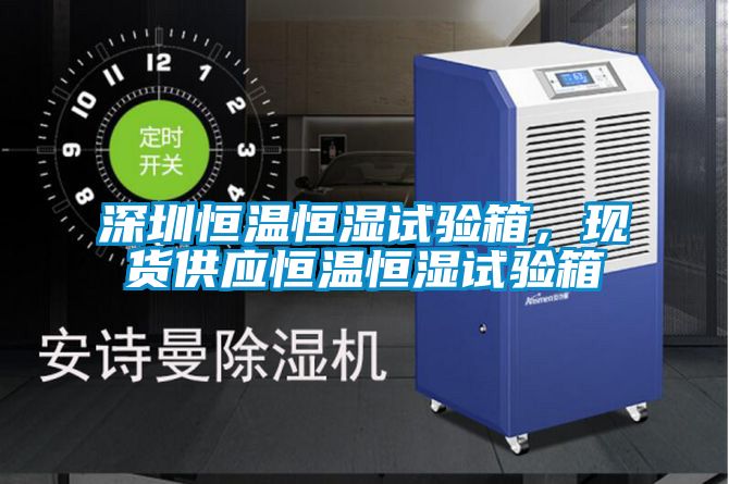 深圳恒溫恒濕試驗箱，現貨供應恒溫恒濕試驗箱