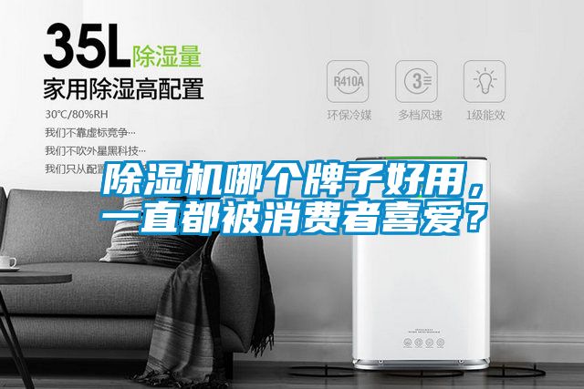 除濕機哪個牌子好用,一直都被消費者喜愛?