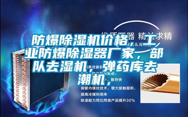 防爆除濕機價格,工業防爆除濕器廠家,部隊去濕機,彈藥庫去潮機,