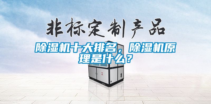 除濕機十大排名，除濕機原理是什么？