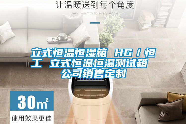 立式恒溫恒濕箱 HG/恒工 立式恒溫恒濕測試箱 公司銷售定制