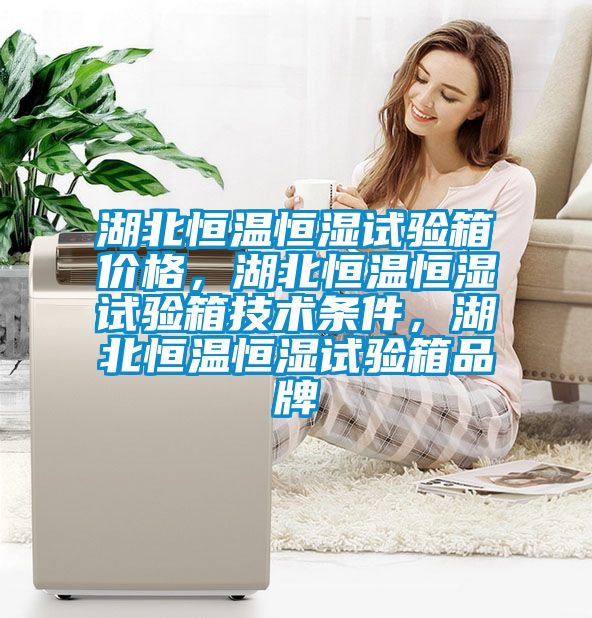 湖北恒溫恒濕試驗箱價格,湖北恒溫恒濕試驗箱技術條件,湖北恒溫恒濕試驗箱品牌