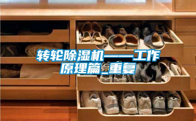 轉輪除濕機——工作原理篇_重復