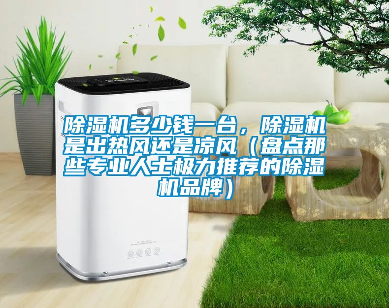 除濕機多少錢一臺，除濕機是出熱風還是涼風（盤點那些專業人士極力推薦的除濕機品牌）