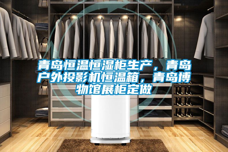 青島恒溫恒濕柜生產,青島戶外投影機恒溫箱,青島博物館展柜定做