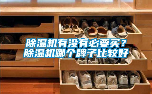 除濕機(jī)有沒(méi)有必要買(mǎi)？除濕機(jī)哪個(gè)牌子比較好