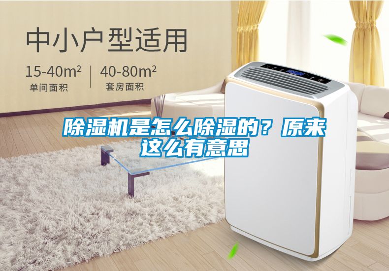 除濕機是怎么除濕的?原來這么有意思