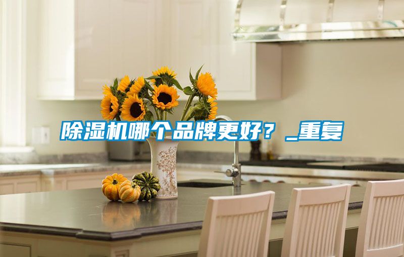 除濕機哪個品牌更好?_重復(fù)