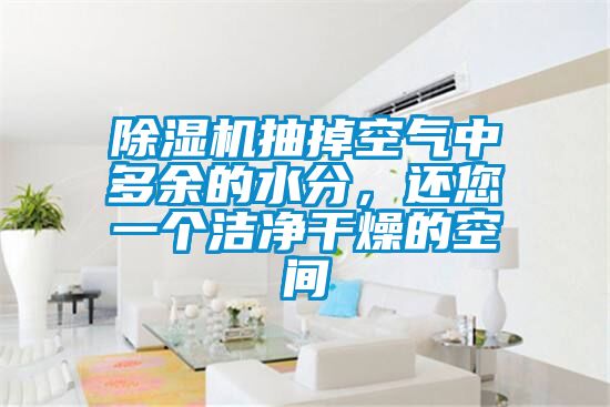 除濕機抽掉空氣中多余的水分,還您一個潔凈干燥的空間