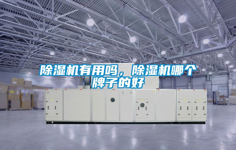 除濕機有用嗎,除濕機哪個牌子的好