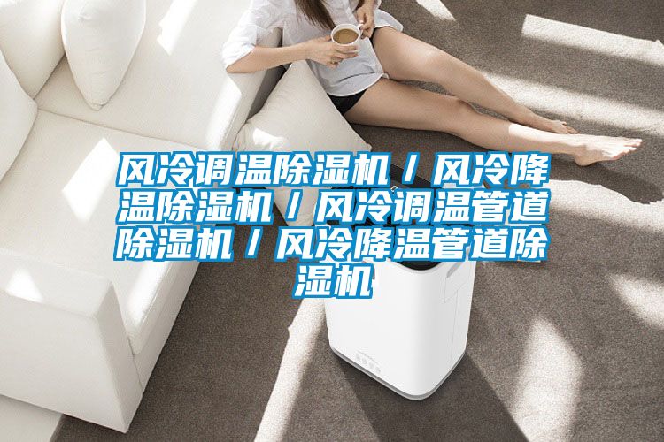 風(fēng)冷調(diào)溫除濕機(jī)/風(fēng)冷降溫除濕機(jī)/風(fēng)冷調(diào)溫管道除濕機(jī)/風(fēng)冷降溫管道除濕機(jī)