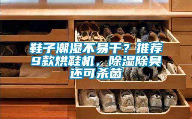 鞋子潮濕不易干？推薦9款烘鞋機，除濕除臭還可殺菌